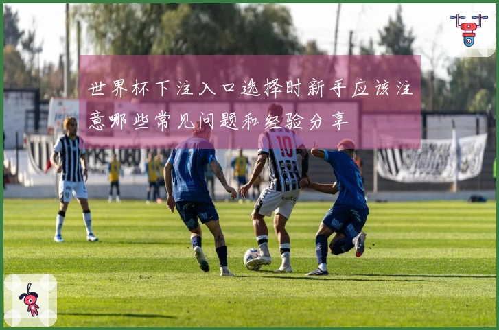 世界杯下注入口选择时新手应该注意哪些常见问题和经验分享