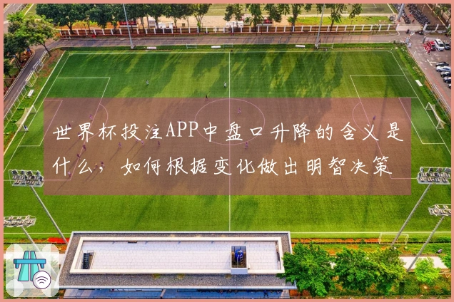 世界杯投注APP中盘口升降的含义是什么，如何根据变化做出明智决策？