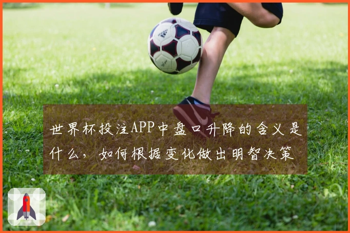 世界杯投注APP中盘口升降的含义是什么,如何根据变化做出明智决策?