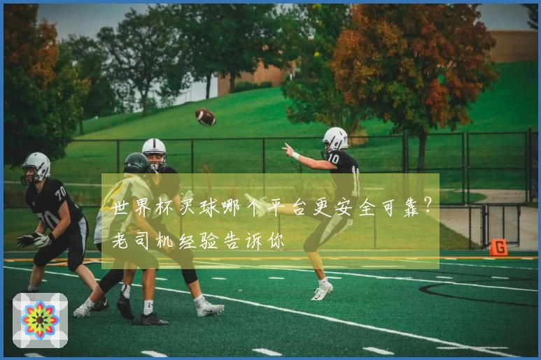 世界杯买球哪个平台更安全可靠？老司机经验告诉你